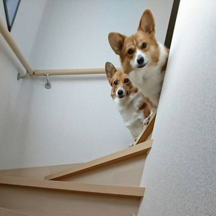 53c3ae6e 2bf9 49dd b085 4a950b410299 1509957769132