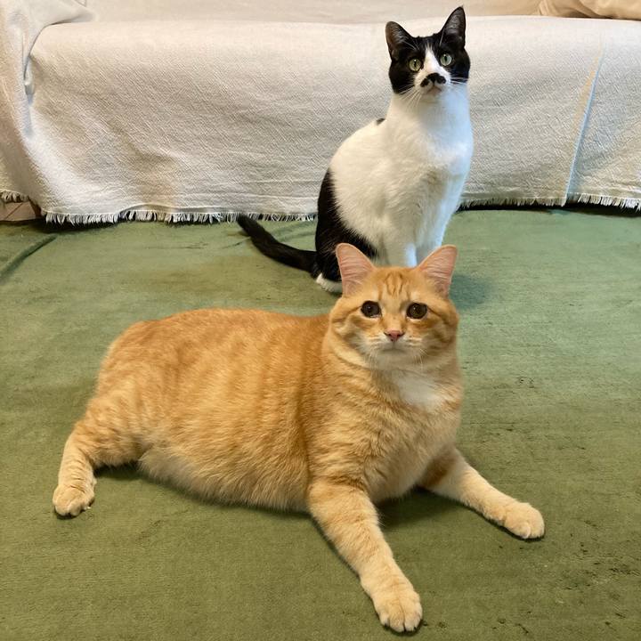 53c3b66d d96b 4793 b8da d8b1b95d09ba 1765460079970