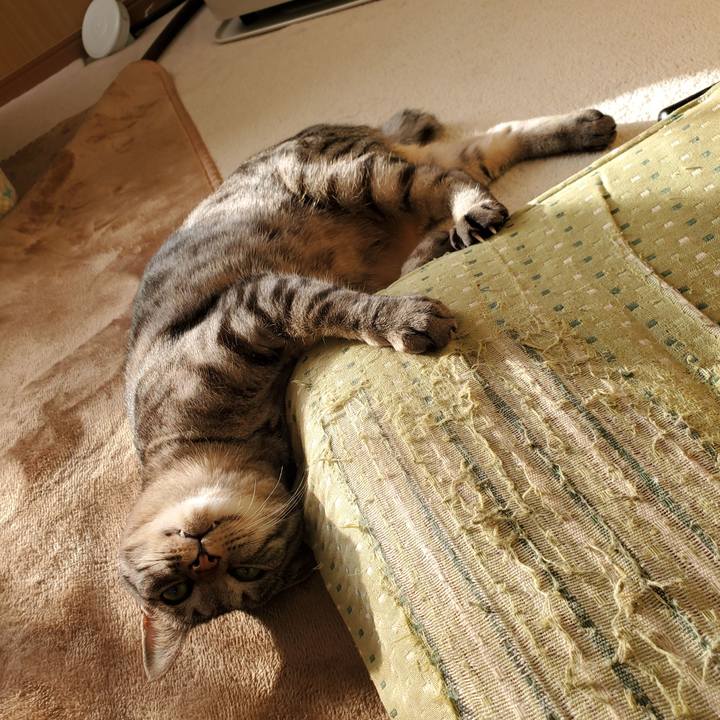 53c3c3d0 422b 41e9 8e0f 4b5b27d57e2e 1709292678720