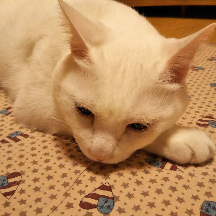 53c3ce93 41c5 4061 9cc2 81a249809eb5 1532089802866