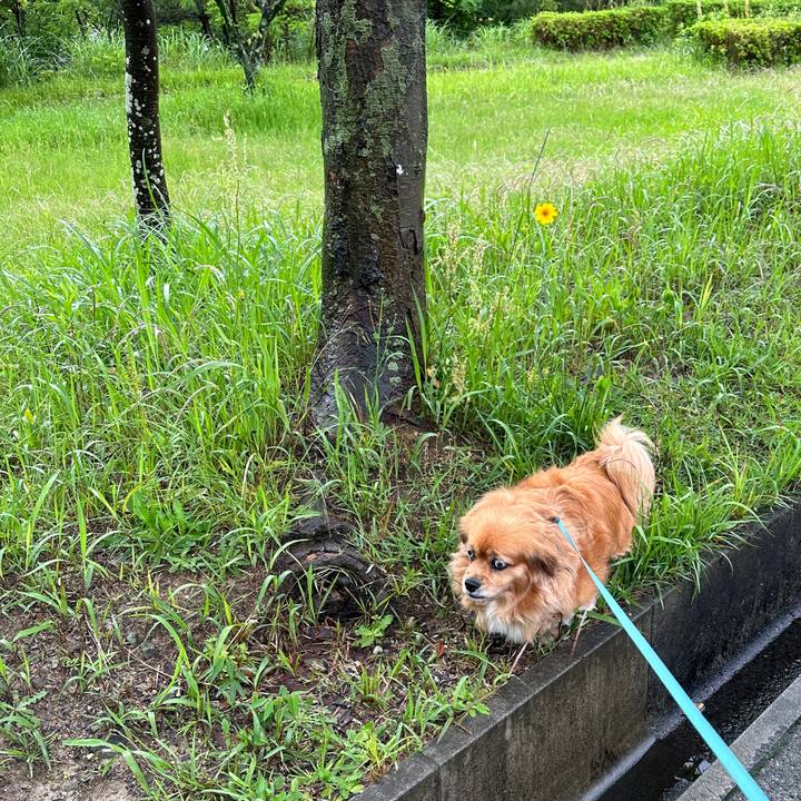 53c3e80e 9f40 4e5a 9809 e5523981b3f8 1683495135284