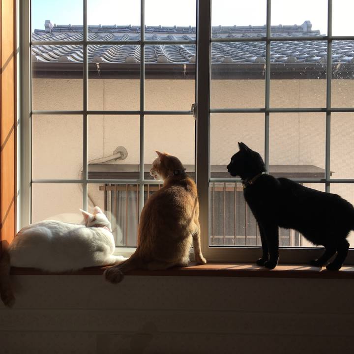 53c40f26 5fd0 4a27 89aa 295541707835 1550976542984