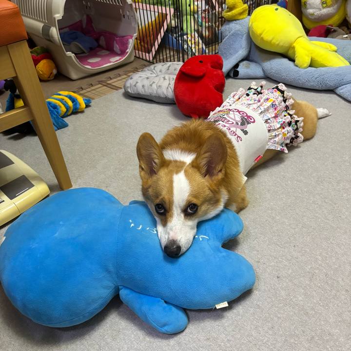 53c40fec 316c 42f0 af9e a21c74ad24c6 1760018382705