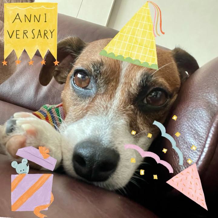 53c43a13 c3e6 452d 97ab 7a19c798b499 1730199061586