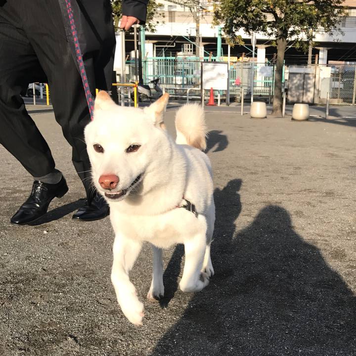 53c44b81 79e2 45e3 8899 72dcbc8e4211 1516318479453