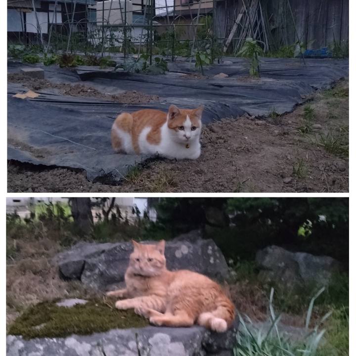 53c47966 30c0 4e7f a4d9 a8e56d2aeda9 1748513600376