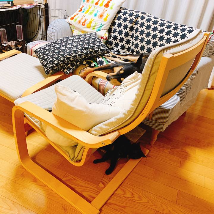 53c47c45 03e0 4c4a a26e 4ab671fcb642 1551628044233