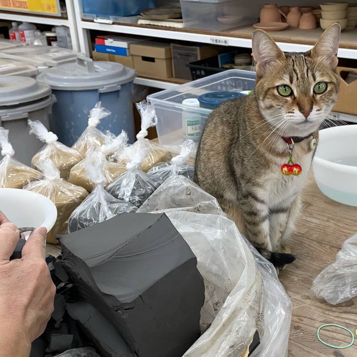 53c47da0 8af3 4fd7 972e edfabaa82c9c 1679574341254