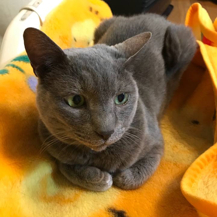 53c47e63 06a7 4d8e a4b4 7d67bbfa4388 1525054956893