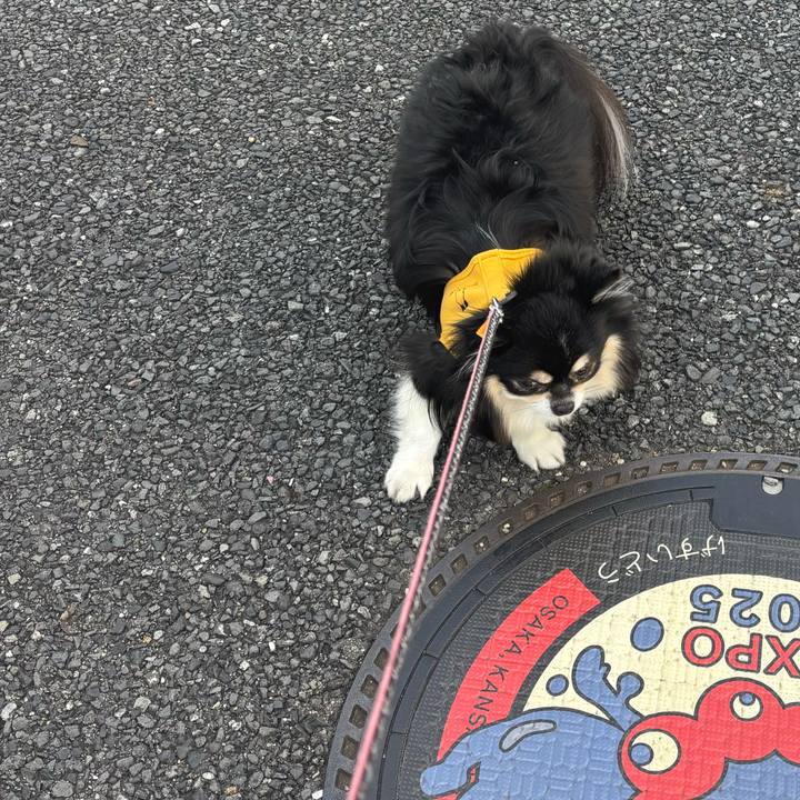 53c48a40 e108 4f14 8cc4 4e71a135eb69 1765253648343