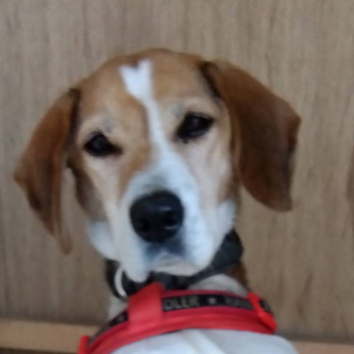 53c4ebfa 1718 4604 bfc0 04b3052c8ad8 1704280220557