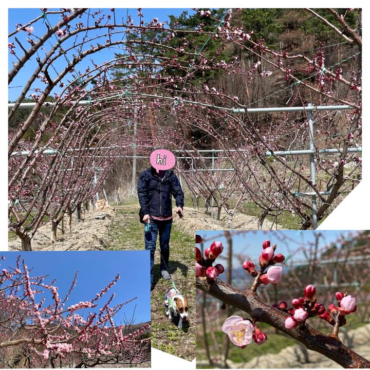 53c50027 847d 4d97 86b6 78f3b646f93e 1649328202222