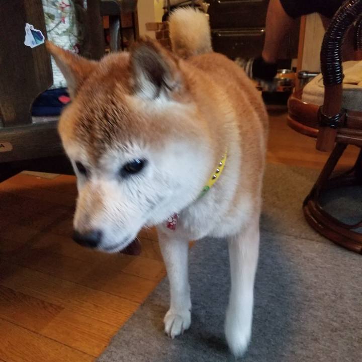 53c5004a a00c 474b 9abc 817a53fadfab 1692605720094