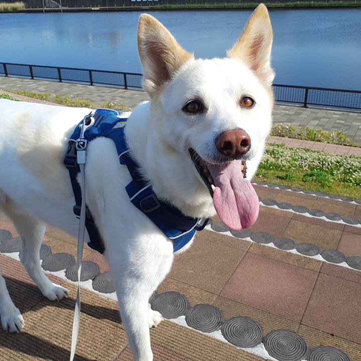 53c54be9 7dac 437e 97f3 33311d846be2 1683258186494