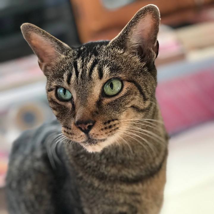 53c56ab0 0a5a 4149 ad7c 59f730063faf 1509153213940