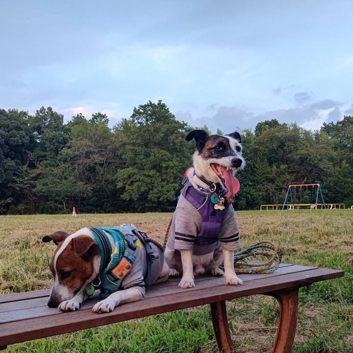 53c57395 1d5e 4f10 998c 1fe454bcfb0d 1694873458566