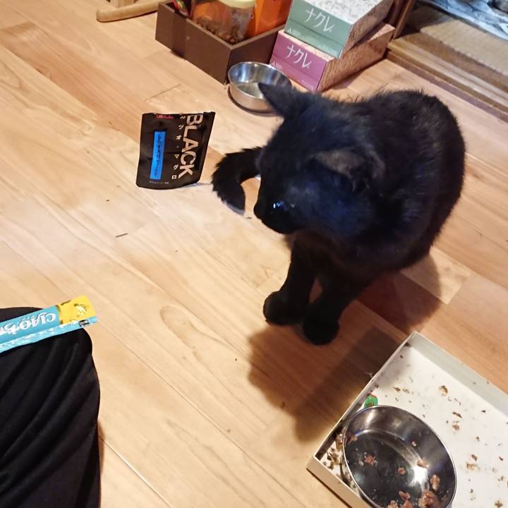 53c59032 caab 4c2a a7ed aed6d5a8da25 1623497569788