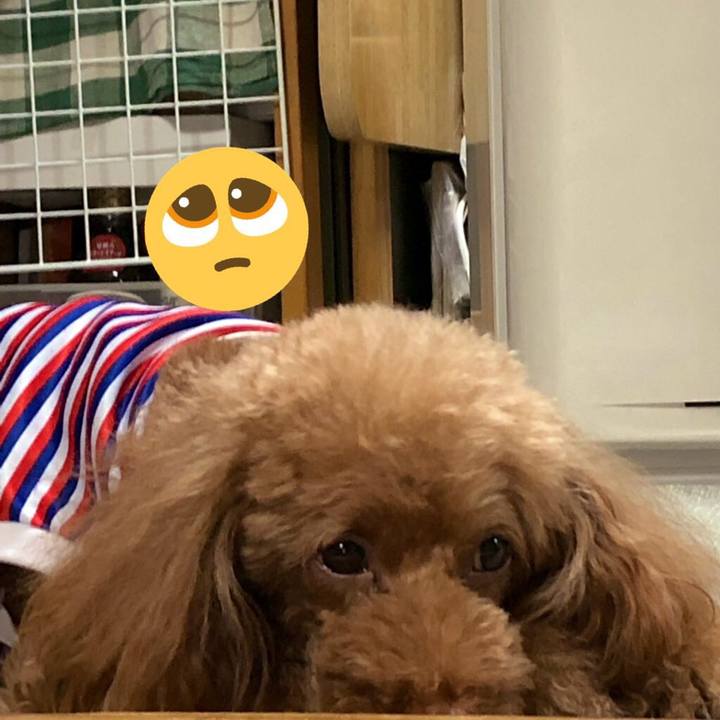 53c5b69c 0d7b 4aee 949b e1c48109d174 1570262178332