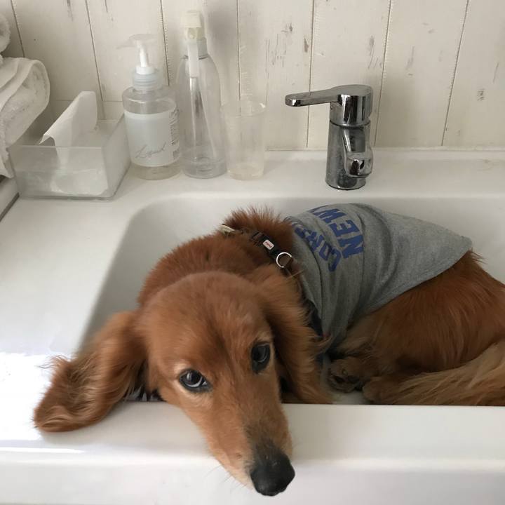 53c5d3ab ef59 4ed1 b3a4 14fd144f7fd4 1523344526108