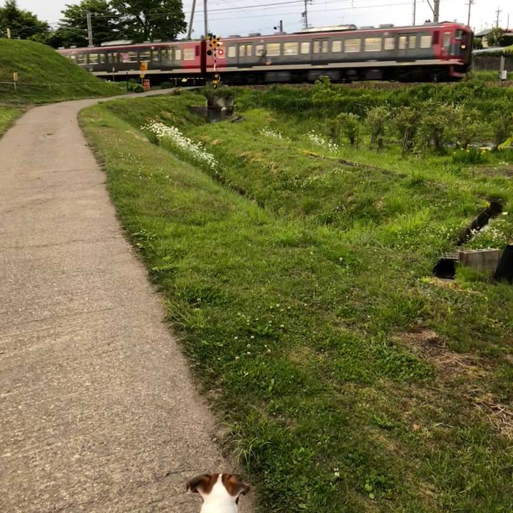 53c5e435 caf1 4453 98aa 707ec100a8d2 1527504807716