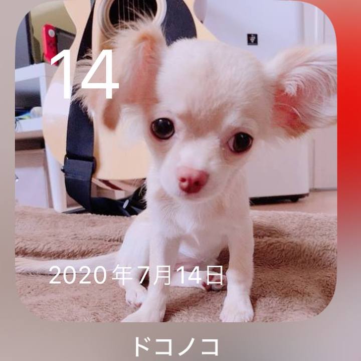 53c5f871 5e90 4eff a93c 772eb13bf3fd 1720919678806