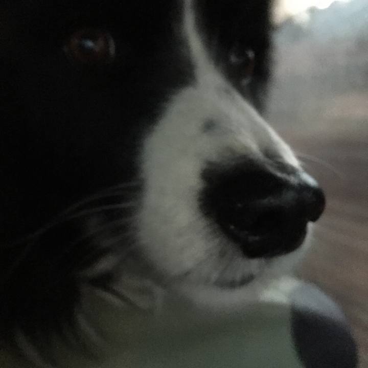 53c67941 f06d 4294 a680 00107a9d6863 1548281686251