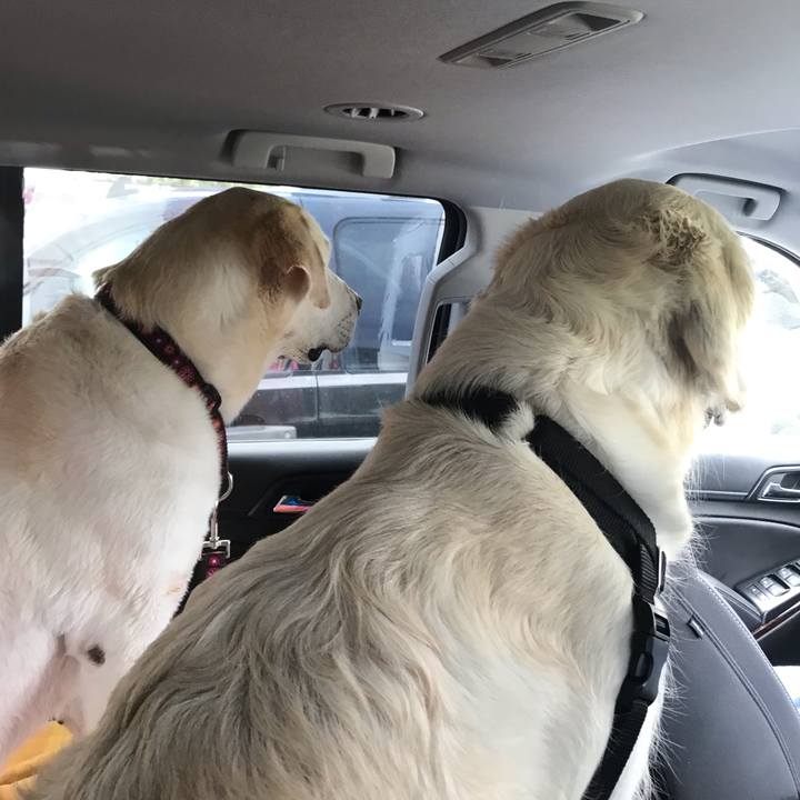 53c67d8a 72d2 4f99 b1f7 720a6be5060e 1552100069778