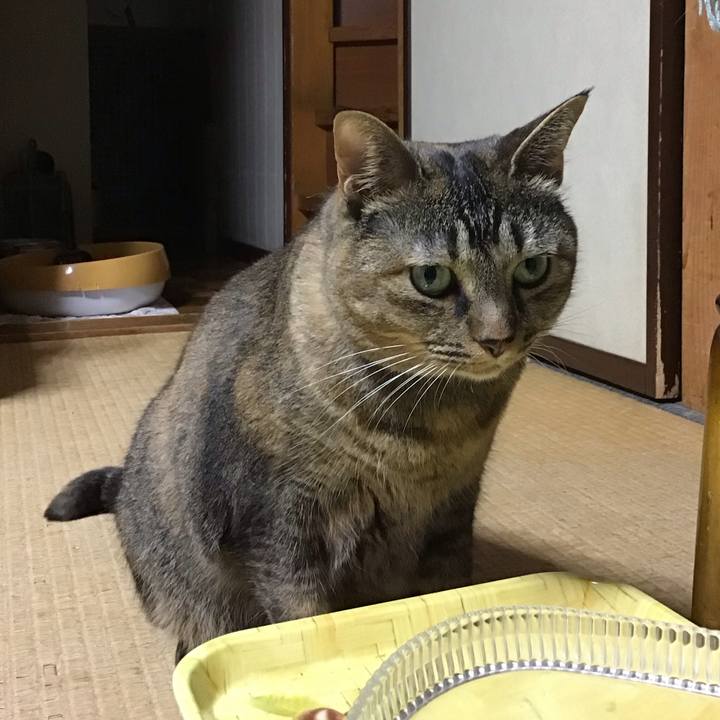 53c67ff8 bec4 4b8d 9533 5dd8bb9d337a 1728554438472