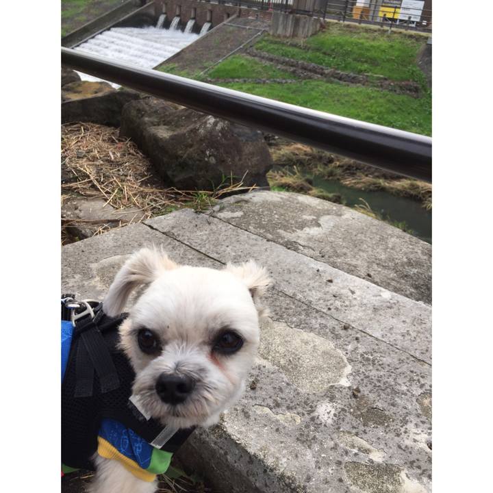 53c68871 49c2 4256 9cf7 d765d9eea1c7 1544161882984