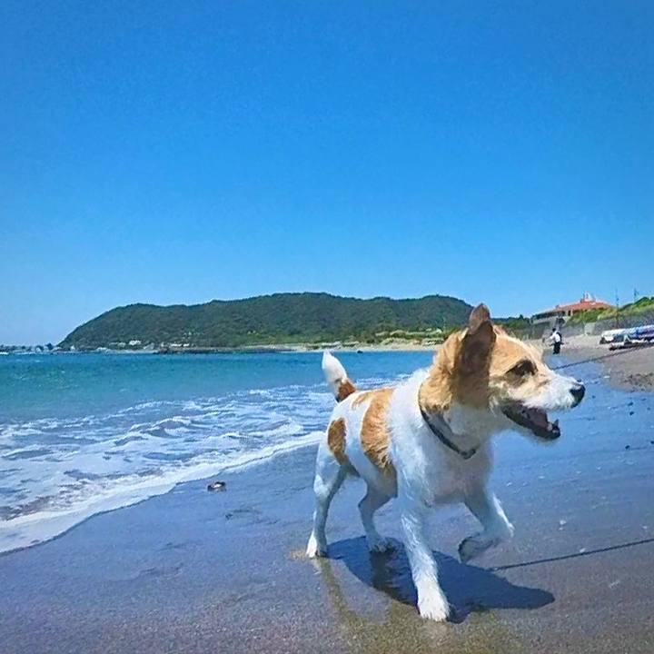 53c6c750 4aae 4f33 977f c6e783257e56 1749302072072