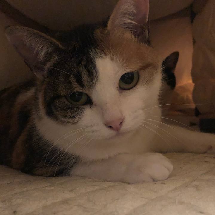 53c6d749 35d6 4249 bf50 3620f6658c90 1584296849604