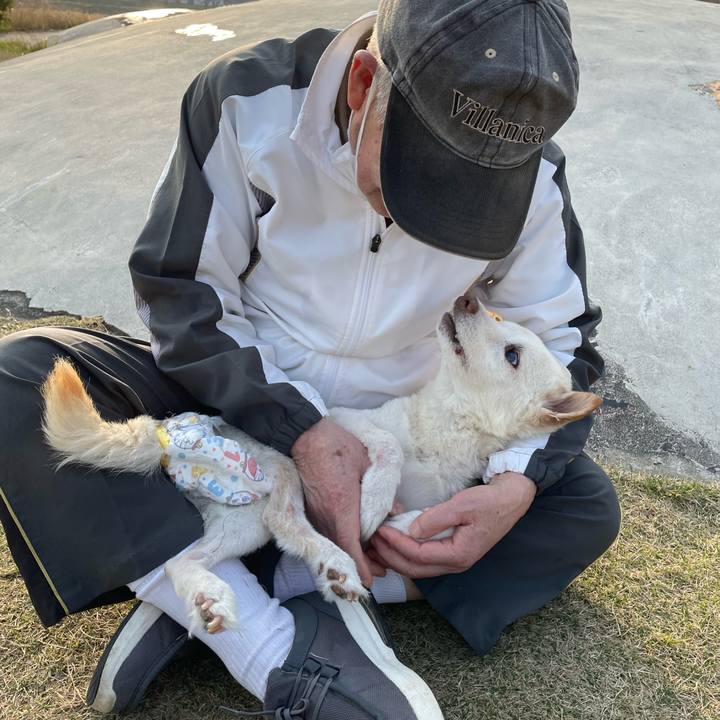 53c6f8d8 85e7 409c a2b0 1bf27f998b04 1678457966598