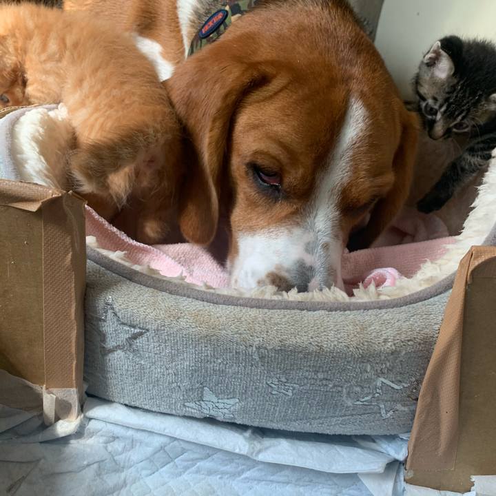 53c708c1 5f2c 4d54 95b0 cf3415c3fbea 1570941178769