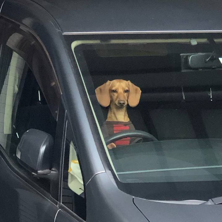 53c75fc7 d055 48f8 81a1 803c27caa840 1546695357994