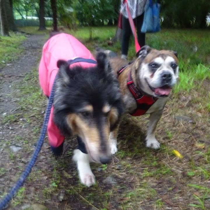 53c77889 327d 4269 80e8 aed4ba811fde 1595469471117