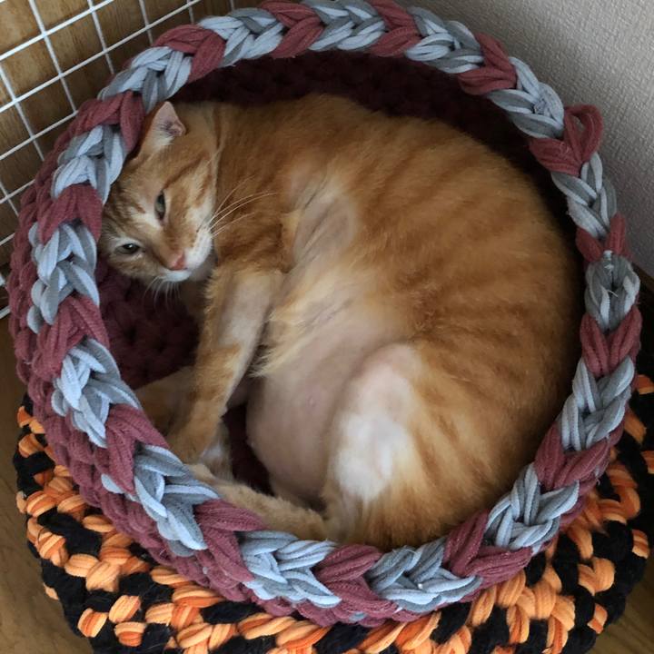 53c77970 dd44 4279 b3b4 cf22b0b14b21 1660552349845