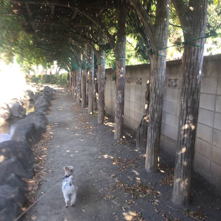 53c7d4ec 336b 4902 8219 6ebeae191f9a 1540206353662