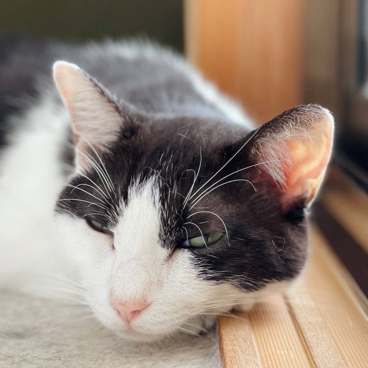 53c7f4c7 5fc4 4b02 803a c652e6c1211b 1630721256789