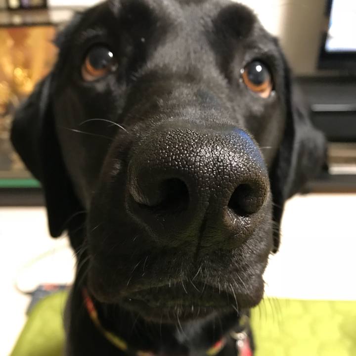 53c83843 f409 4fe9 b86a 6e9b18ab4a55 1523620957060