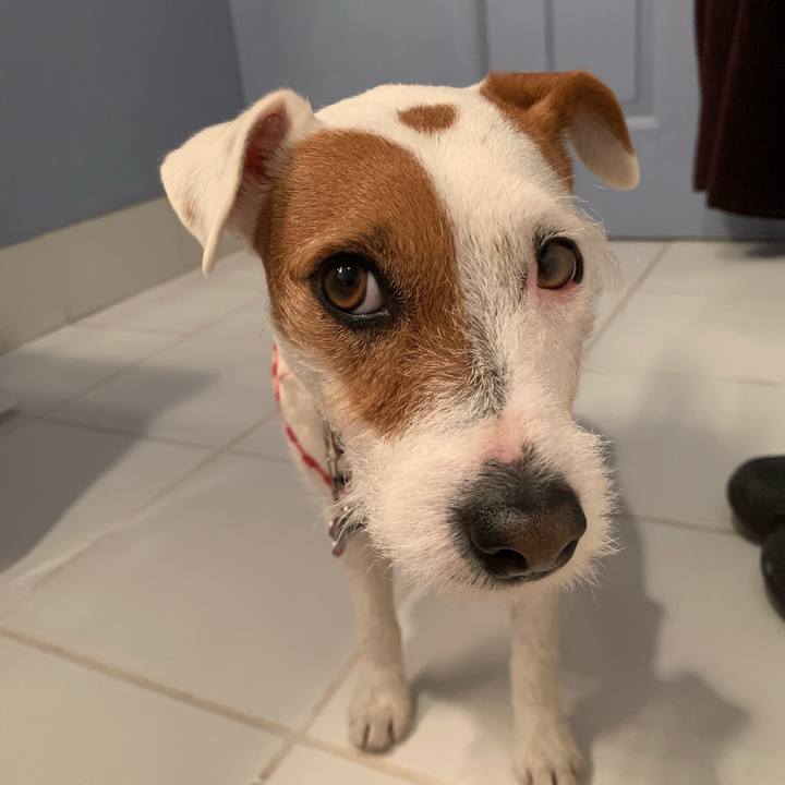 53c83e04 5a7e 48be a319 6ce909409caa 1546314179375