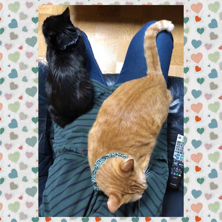 53c88b5d 0431 4a82 8798 892f30e66892 1577965639914