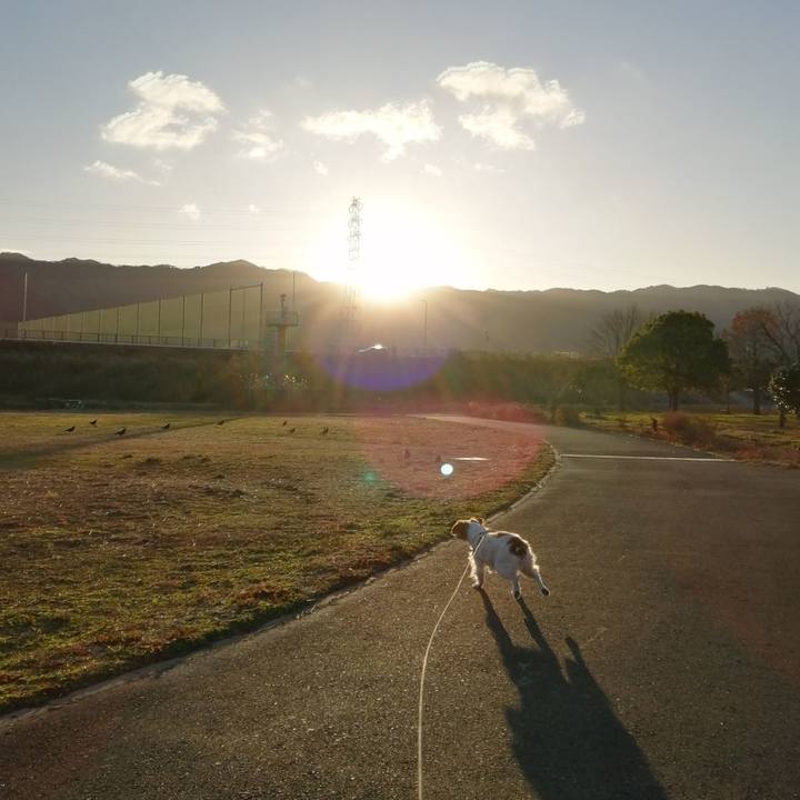 53c896d9 bf29 4635 9284 8f46cddb3f22 1609481781432