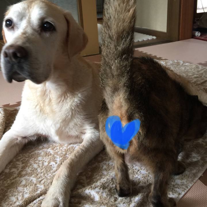 53c8b4f3 c3a0 4029 8944 d97b5bb08095 1537930559208