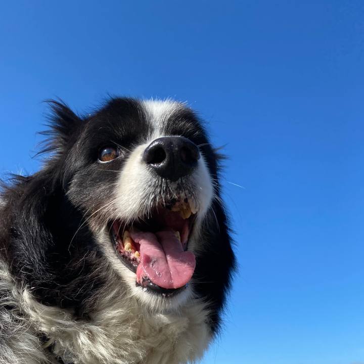 53c8c808 738e 49fe 9918 9b0d5d04b51d 1697936872014