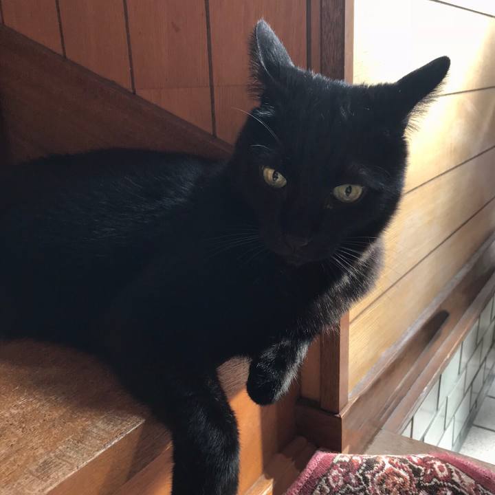 53c8d18d 1a48 48ba ba07 3423ab46d5f7 1524530839366