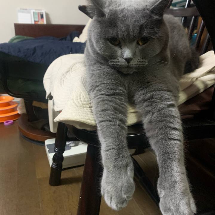 53c90330 8da4 4cd2 832a 8d280b2d2b36 1762749463818