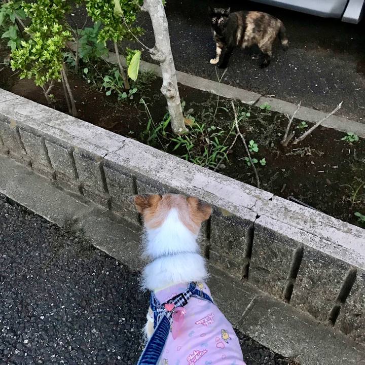 53c94368 b02d 4fb3 a47e dbb886e7f4de 1663068025249