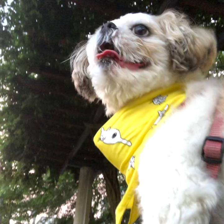 53c96bcf fe3e 4e22 919c 05f9d0452476 1532641072936