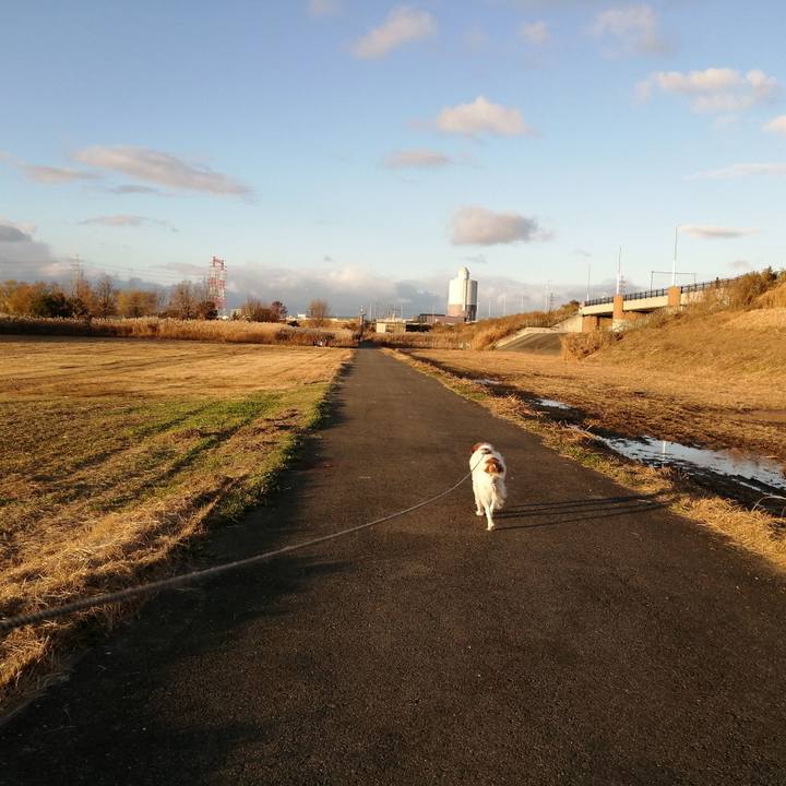 53c9bd99 f4c9 4faf 916d 3e79f7ad9afb 1577781231540