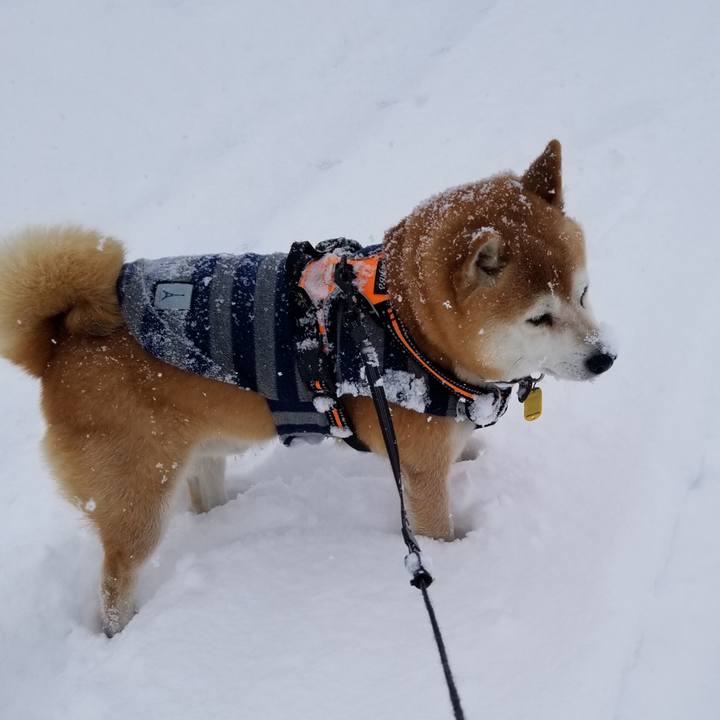 53c9be33 9f9d 428c 8cac 212434a5e0f4 1640496053306